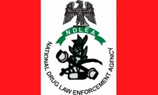 Nigerian Anti-Narcotics Agency, NDLEA Arrests Wanted Drug Kingpin Seven Years After Escaping From Prison, Other Suspects 