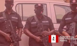 Anti-Narcotics Agency, NDLEA Raids Drug Party In Osun State, Arrests Event Organisers