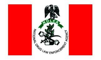 Unlawful Detention: Court Orders Anti-Narcotic Agency, NDLEA To Produce Nigerian Businessman In Court On December 4