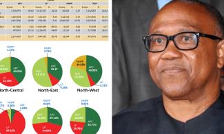 Presidential Election: INEC Report Shows Peter Obi Swept South-East With 87% But Had Less Than 7% In Northern Zones