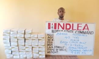 Drug Supplier For Terrorists In Borno Arrested By Nigeria’s Narcotic Agency