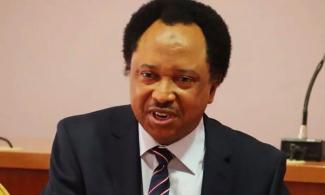 Minna Protest Is Wake-Up Call For Government, European Cities Had Same Demonstration – Shehu Sani