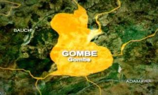 Outbreak Of Strange Disease Reportedly Kills Over 30 Children In Gombe State