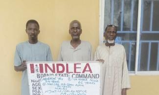 Two Nigerian Grandfathers Arrested For Drug Trafficking In Borno