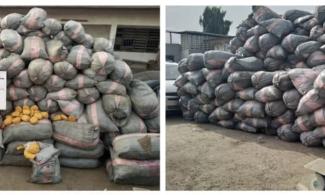 Nigerian Narcotic Agency, NDLEA Launches Raids On Lagos, Edo, Ondo Targets; Seizes Almost 45,000kg Of Illicit Drugs