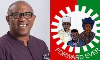 Peter Obi Denies Plan To Dump Labour Party Amid Crisis, Says Higher Electricity Tariff For Band A Customers Is Normal
