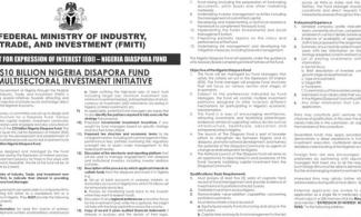 Nigeria Plans $10Billion Diaspora Fund For Citizens In Diaspora To Grow Economy Through Foreign Investment