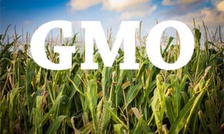 Group Backs Nigerian Federal Lawmakers On Resolution Against Genetically Modified Crops