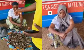 Nigerian Security Forces Arrest Woman Transporting Ammunition To Terrorists In Katsina