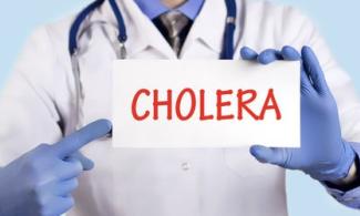 Cholera Outbreak: All Houses, Petrol Stations, Markets Must Have Functional Toilets, Ogun Government Orders 