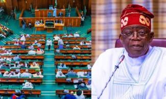 House Of Reps Asked To Reveal Probe Report On Tinubu's Faulty Presidential Jet To Nigerians 