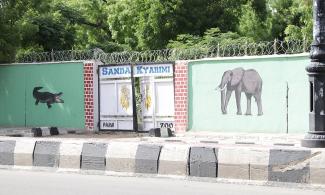 Flooding Forces Wild Animals Out Of Maiduguri Zoo, Submerges Cemetery As Civic Groups Express Worries