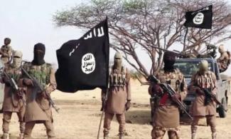 Boko Haram Terrorists In Fresh Attacks Slaughter Five, Abduct 15 Farmers In Borno