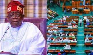 Reverse Fuel, Cooking Gas Price Hikes To Ease Burden On Poor Nigerians, House Of Reps Tells Tinubu Govt