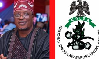 Nigerian Senator Confirms NDLEA Raid On His Residence, Disowns Two Aides Arrested For Drugs