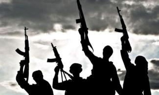 Terrorists Abduct Seven Construction Workers Including Two Ministry Officials In Kwara