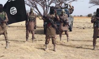 Boko Haram Terrorists Abduct Newly Elected Biu Vice Chairman, Councillors, Passengers On Borno-Yobe Highway