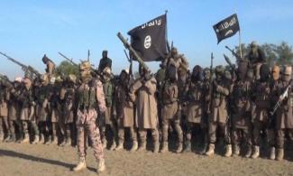 438 Boko Haram, ISWAP Fighters Killed In Seven Months; 300 Communication Devices Seized, Says Nigerian Military 
