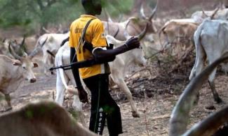 armed herdsmen