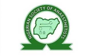 Nigerian Anaesthetists’ Society Seeks Involvement In Lagos Probe Of Chimamanda Adichie Son’s Death