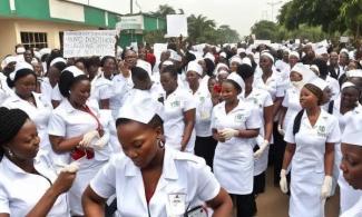 Nurses Forum Raises Alarm Over Illegal Nursing Schools, Programs In Kwara, Cites Danger To Lives