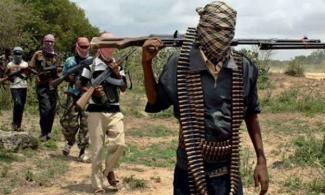 Kidnapped Christians: Bandits Demand Ransom, Seen Trekking With 166 Abducted Worshippers in Kaduna