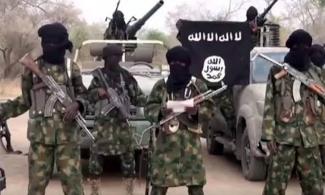 Five Boko Haram Fighters, Three Vigilantes Killed In Ambush On Ngoshe-Pulka Road In Borno