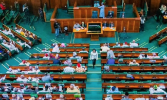 House Of Reps Summons Auditor-General, Finance, Agriculture Ministers Over Missing Records On Farm Subsidies 