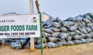 Disengaged Employees Of State-Owned Niger Foods Allege Months Of Unpaid Salaries, Overtime Claims After Abrupt Layoffs