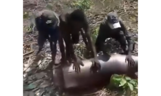 Sokoto Men Play With U.S. Bomb Fragments