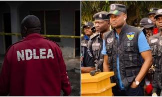 Nigerian Drugs Agency, NDLEA Slams 8-count Charge Against Disgraced DCP ...