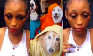Nigerian Police Launch Manhunt For Woman In Viral Sex-with-dog Video |  Sahara Reporters