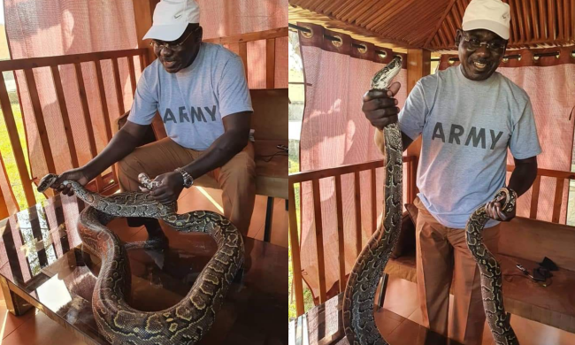 Army Chief, Buratai Poses With Snake In His Farm, Keeps Mum On Katsina ...