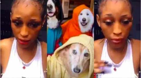 480px x 268px - Nigerian Police Launch Manhunt For Woman In Viral Sex-with-dog Video |  Sahara Reporters