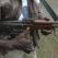 Unknown Gunmen Terrorising Southeast Nigeria Kill Imo Council Chairman Despite Collecting N6 Million Ransom