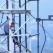 Nigerian Man Climbs Radio Mast To Commit Suicide In Abuja