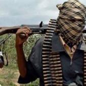 Over 600 Of Us Are In Captivity – Senior Aide To Emir Of Zamfara, Shamaki Pleads For Help From Terrorists' Den